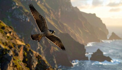 Majestic Peregrine Falcon Soaring Over Dramatic Coastline