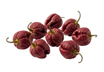 Extreme close-up of aged, deep maroon ghost peppers, gnarled and shriveled, on a transparent studio background with soft shadows. Culinary extreme concept