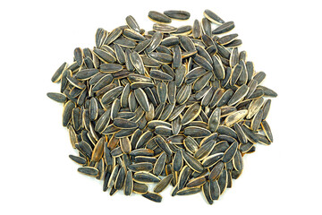 Sunflower seeds on white background closeup view flat lay photography