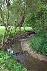 Rivière Morbras, Parc départemental du Morbras, Sucy en Brie, 94, Val de Marne, France