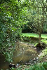 Rivière Morbras, Parc départemental du Morbras, Sucy en Brie, 94, Val de Marne, France