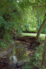 Rivi&egrave;re Morbras, Parc d&eacute;partemental du Morbras, Sucy en Brie, 94, Val de Marne, France