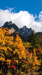 Fototapeta premium Autumn mountain landscape with vibrant foliage