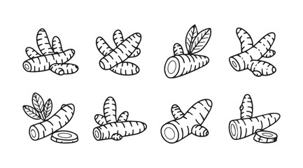 Collection of hand drawn turmeric root illustrations in silhouette style