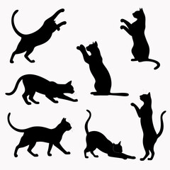 Collection of black cat silhouettes in various playful and active poses against a white background illustrating movement and agility