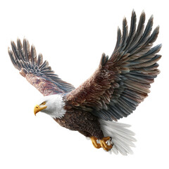 Fototapeta premium Bald eagle flying isolated on transparent background with wings spread in the sky