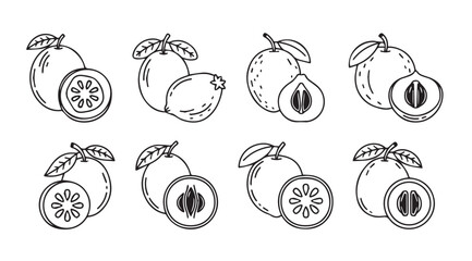 Collection of feijoa fruit illustrations in a distinctive silhouette style