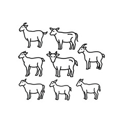 Simple Line Art Illustrations of Various Goat and Cow Breeds
