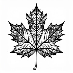 Naklejka premium Detailed Single Maple Leaf Vector Art on White Background Botanical Illustration