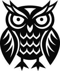 owl on white background