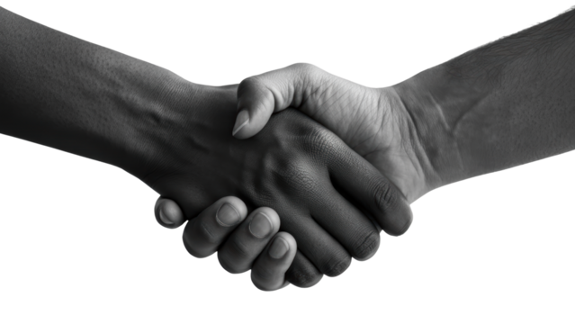 Black and White Handshake
