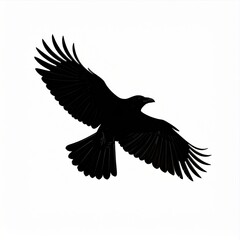 Fototapeta premium Dramatic Silhouette of a Black Bird Flying in the Sky with Wings Spread on White Background