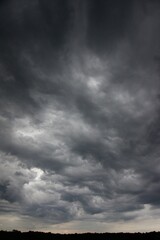 Clouds over the forest in summer