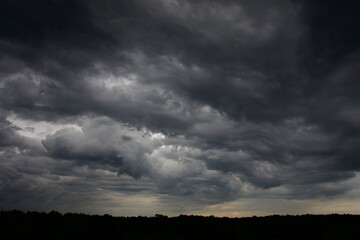Clouds over the forest in summer