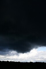 Clouds over the forest in summer
