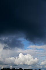 Clouds over the forest in summer
