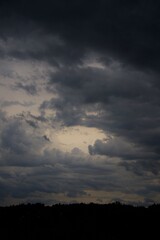 A cloud over the forest in summer