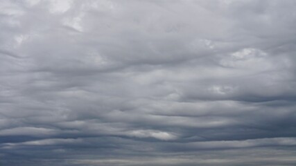 A cloud over the forest in summer