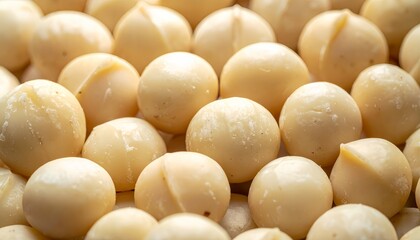 Healthy Organic Macadamia Nut Snack
