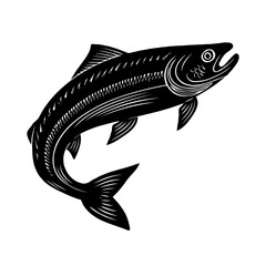 Fototapeta premium Black stylized salmon fish drawn in detailed graphic ink style, isolated on white background, representing nature and wildlife concepts