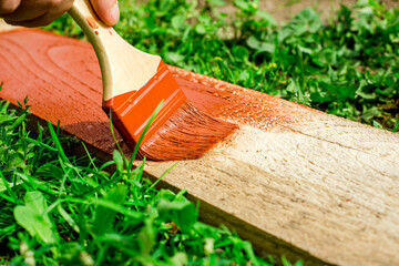 The hand holding the brush applies paint to a wooden board - painting and wood care.