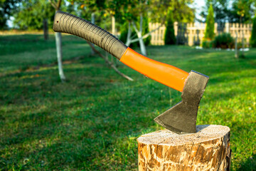 The old axe in the chopping block