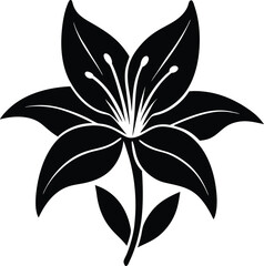 black and white lily