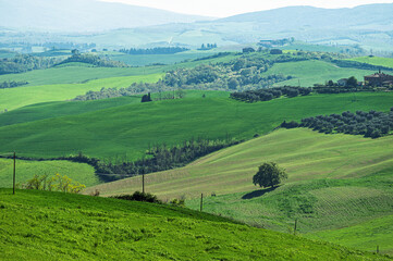 spring countryside landscape along the tuscany hills, Italy