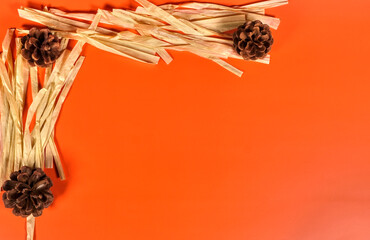Three pine cones rest on straw against a vivid orange background, evoking warm seasonal vibes and...