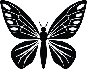 butterfly vector illustration