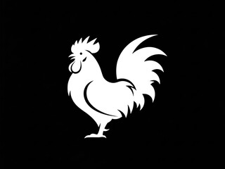 rooster isolated on black background