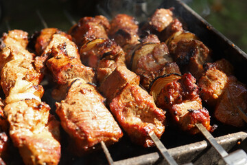 Close-up of grilled kebab on skewers. Juicy shish kebab cooked on the grill. Barbecue in nature.