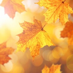 Fototapeta premium Golden Maple Leaves Floating on Bokeh Background in an Autumnal Season