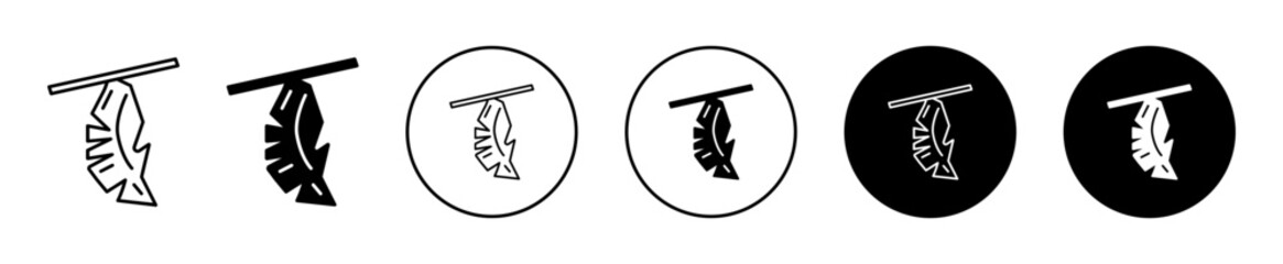 Feather Icon Variations Isolated on White Background