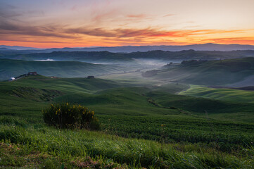 Fototapeta premium spring sunrise over the Tuscany hills with a tree in the foreground, Italy
