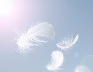 Two White Feathers Floating Gently Against a Soft Blue Sky with Bright Sunlight