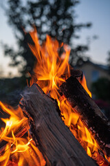 Brennende Holzscheite eines Lagerfeuers