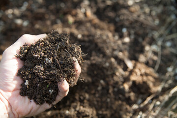 堆肥を手に持つ