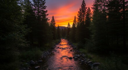 River Sunset Forest Scenic Nature Landscape