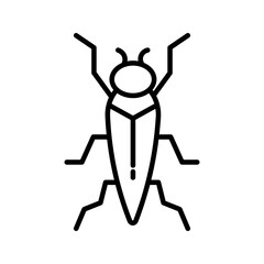 Insect icon on white background