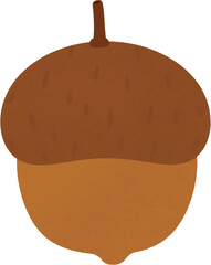 Acorn