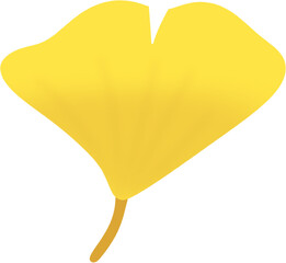 ginkgoleaves3