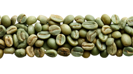 Fresh green coffee beans arranged in a row on a white background.