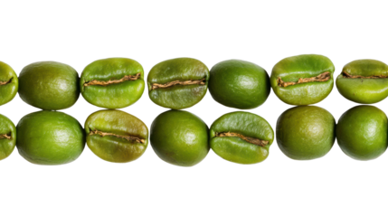 Green coffee beans arranged in a row, showcasing their unique textures and natural colors.