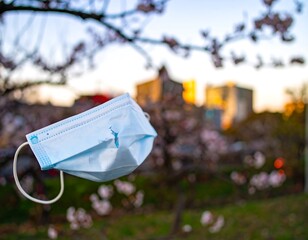 Disposable mask hanging from a tree branch