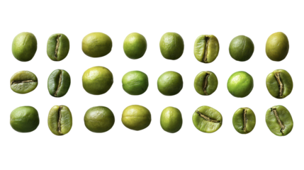 Various green coffee beans arranged on a white background, showcasing unique shapes and sizes.