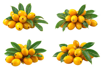 Obraz premium Four piles of loquats with leaves, isolated on transparent background, arranged in a studio shot with a transparent background for commercial use