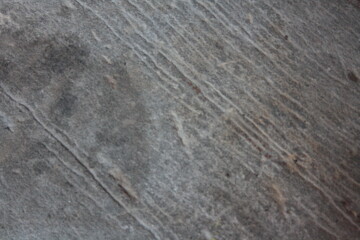 wood texture background