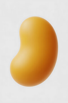 Smooth, orange bean-shaped object.

