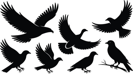 Obraz premium Silhouette Birds Collection Vector Illustration Flying Bird Set Isolated on Transparent Background